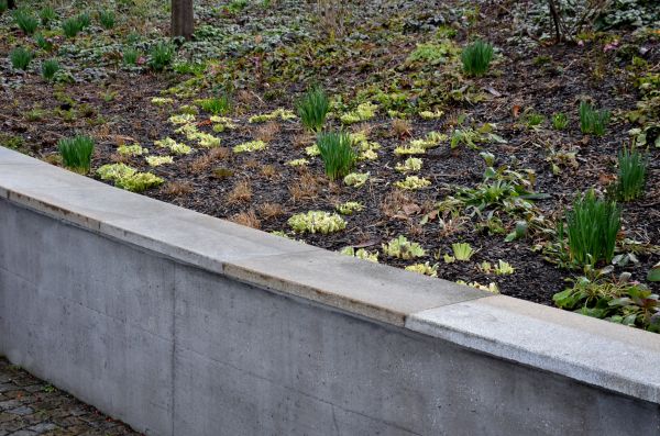 Concrete Wall Construction in Englewood