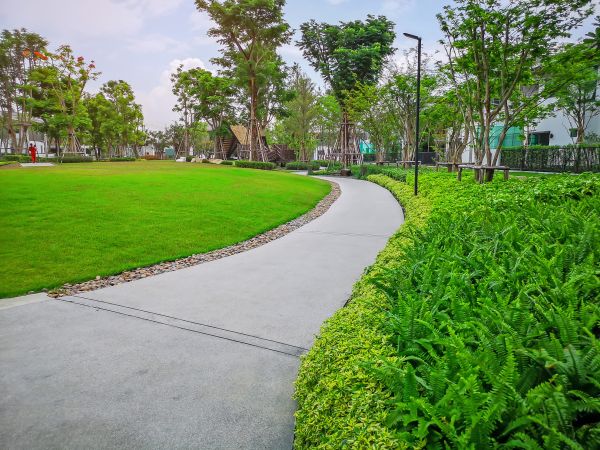 Cement Walkway Service in Englewood