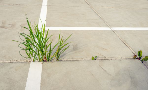 Concrete Parking Installation in Englewood