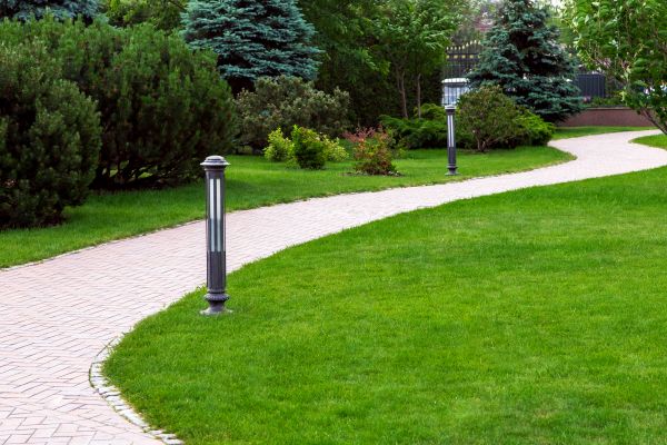 Backyard Sidewalk Installation in Englewood